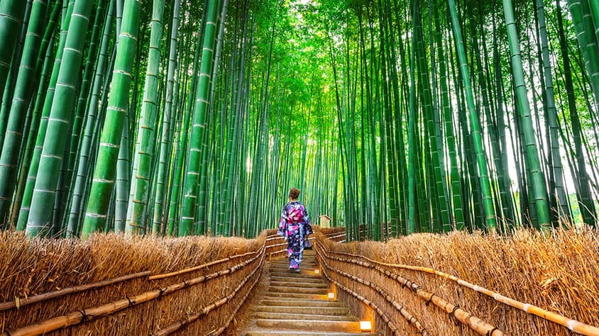 OKINI JAPÓN