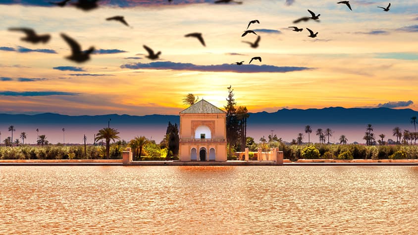 SAHARA