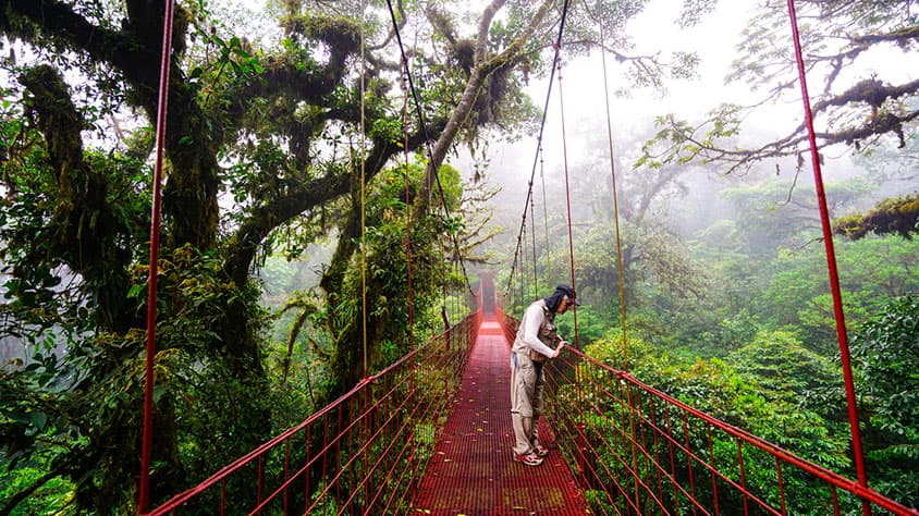 COSTA RICA JARDÍN SALVAJE